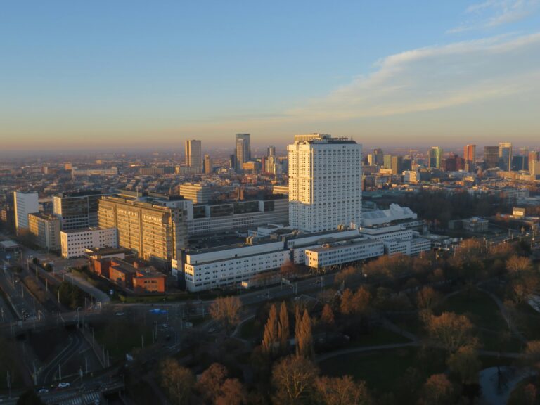 pexels-tonliendo-3673346